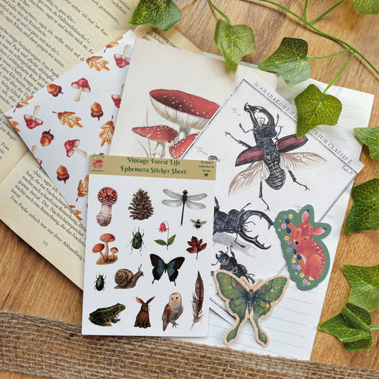 vintage forest life stationery kit with fly agaric art print stag beetle art print washi mushroom sheet ephemera sticker sheet with frog owl rabbit and luna moth and fawn die cut stickers on book