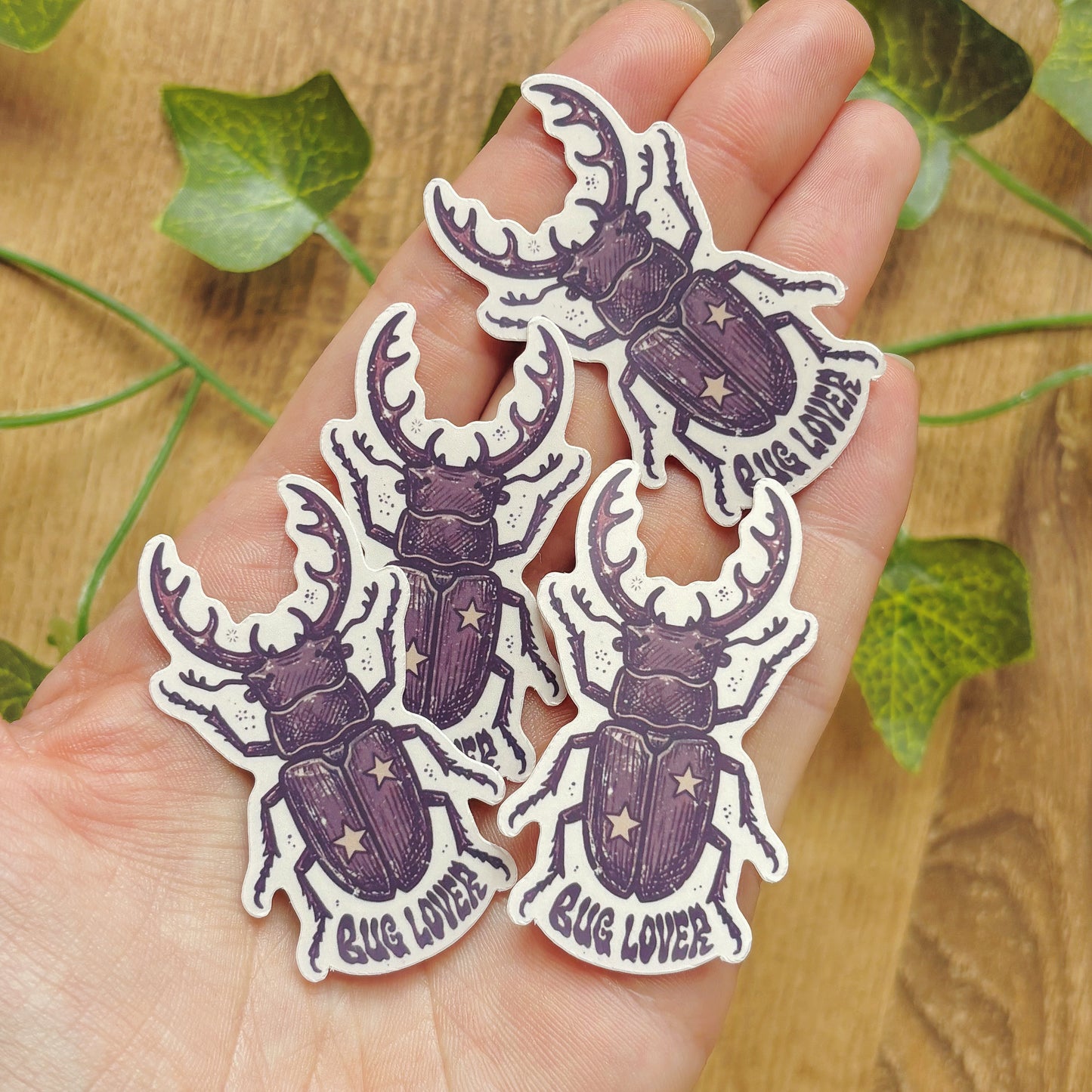 Bug Lover Sticker, Whimsical Beetle Decal, Insect Stickers, Stag Beetle Decal