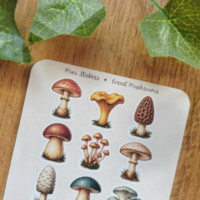 Mini Forest Mushroom Stickers - 9 Small Vintage Mushroom Vinyl Stickers | Woodland Mycology Mini Sticker Sheet | Cottagecore Foraging Decals