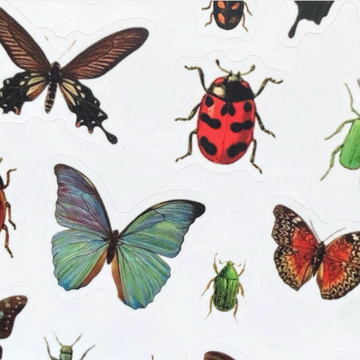 Ephemera Bugs And Butterflies Sticker Sheet, Vintage Victorian Insect Art, Scrapbook Planner Decals, Nature Journal Stickers