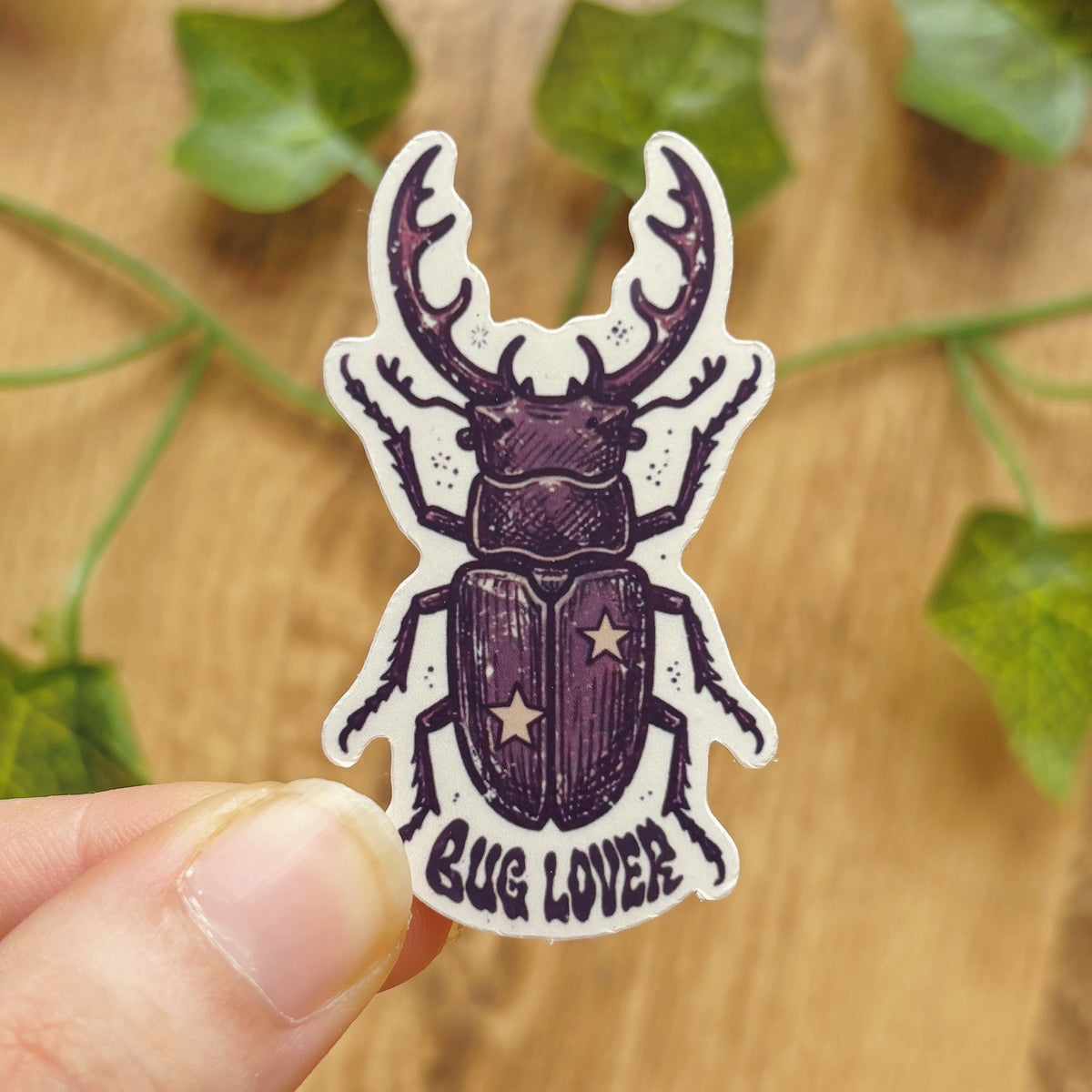 Bug Lover Sticker, Whimsical Beetle Decal, Insect Stickers, Stag Beetle Decal