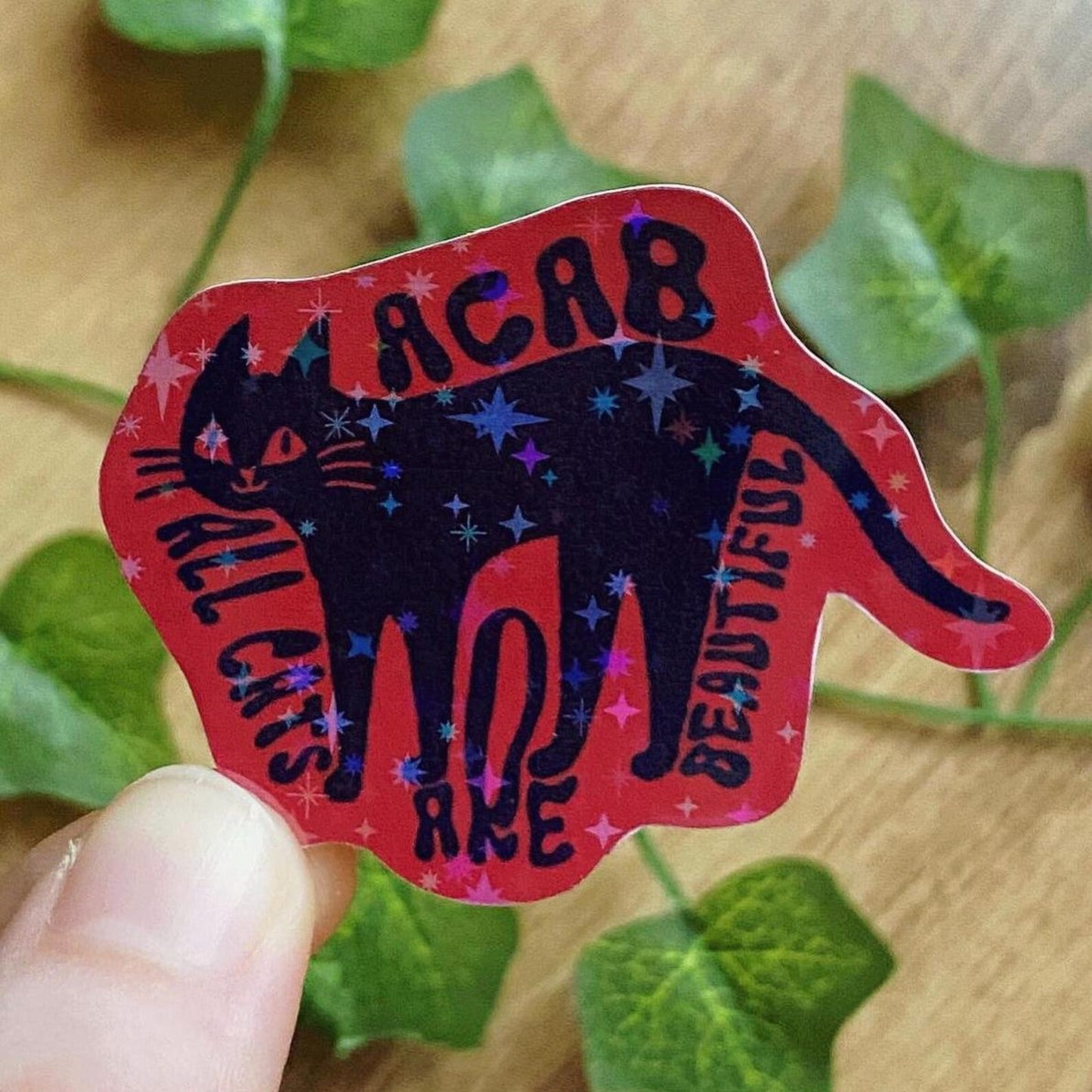 ACAB All Cats Are Beautiful Glitter Sticker, Funny Cat Decal, Defund Abolish Police Stickers